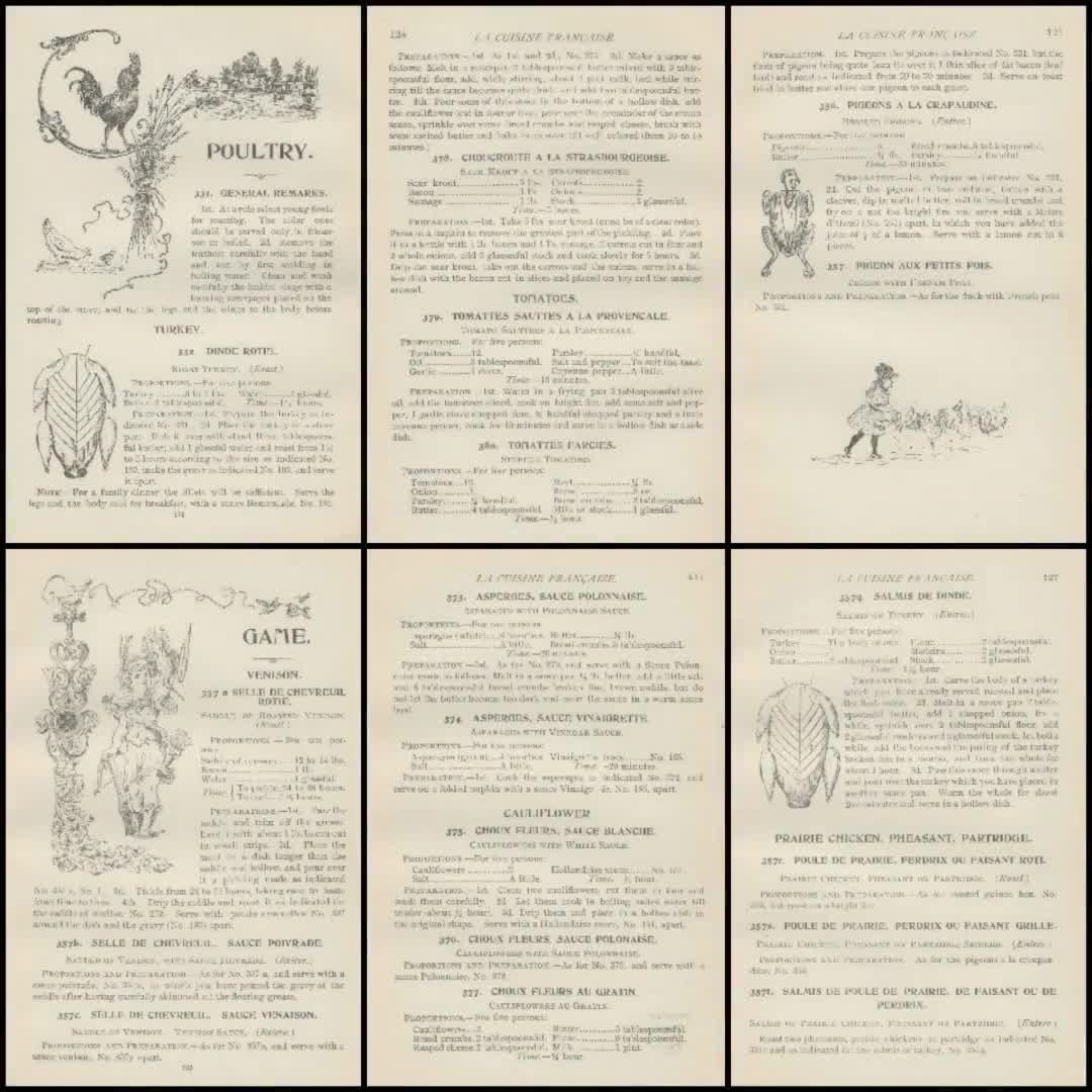 1893 年のフランス料理本: ラ キュイジーヌ フランセーズ