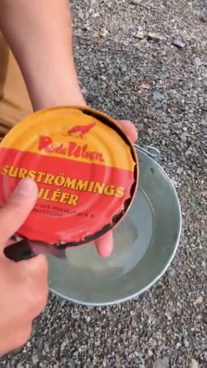 スモール缶 スールストレミング 400g（発酵ニシン）送料無料｜世界一