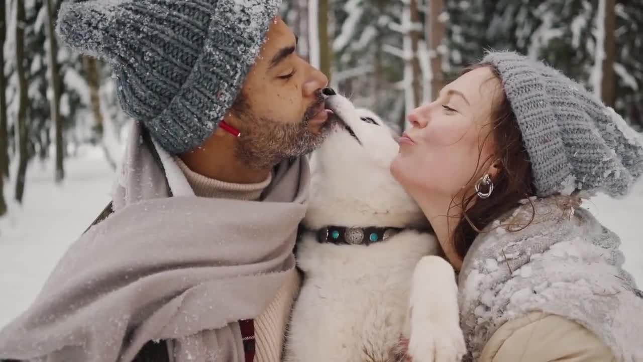 Custom Two Dog Portrait: Pet Memorial Art (Digital or Printed) video poster