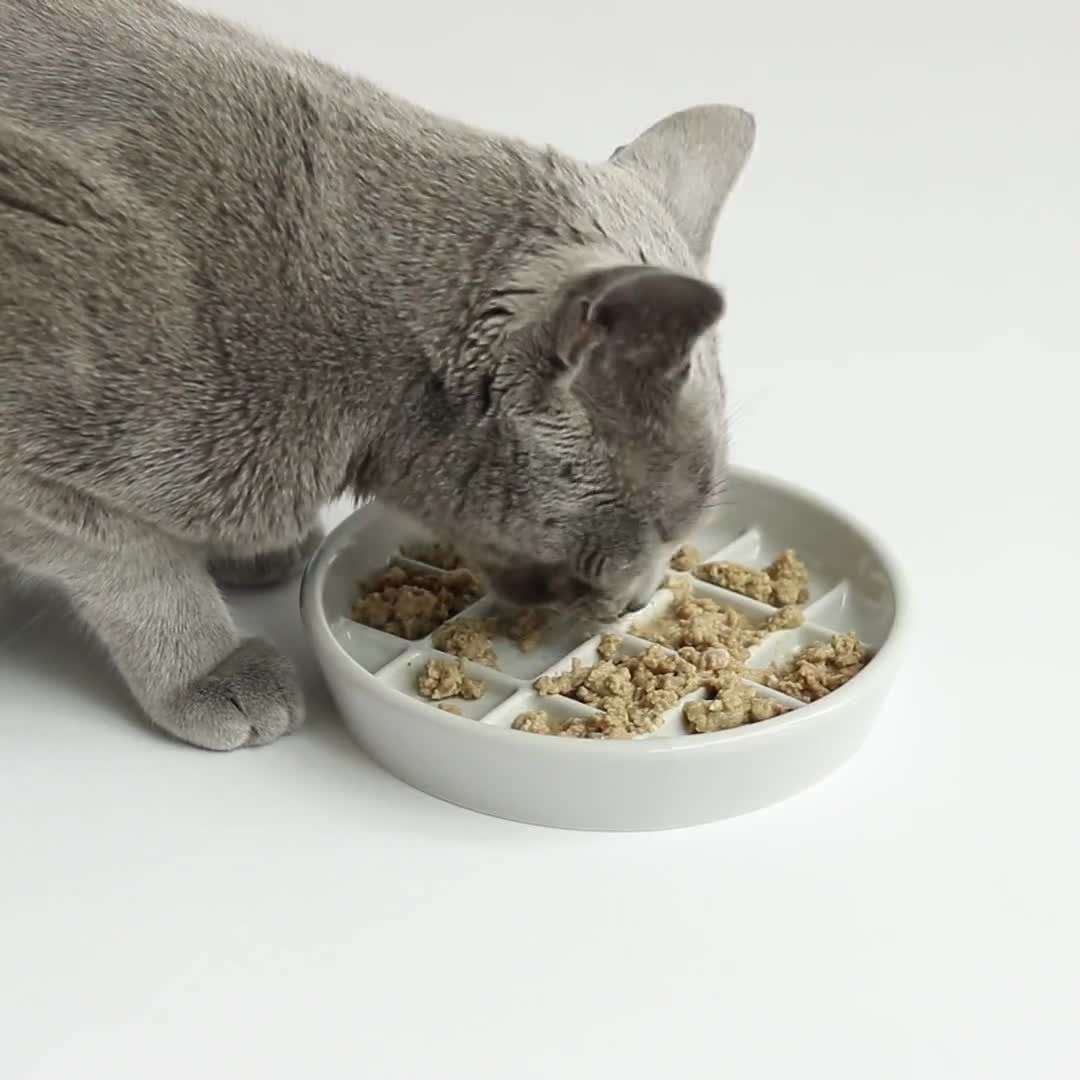 https://v.etsystatic.com/video/upload/q_auto/Noots-Waffle-Slow-Feed-Bowl-Cat-Eating_1_xlrcwf.jpg