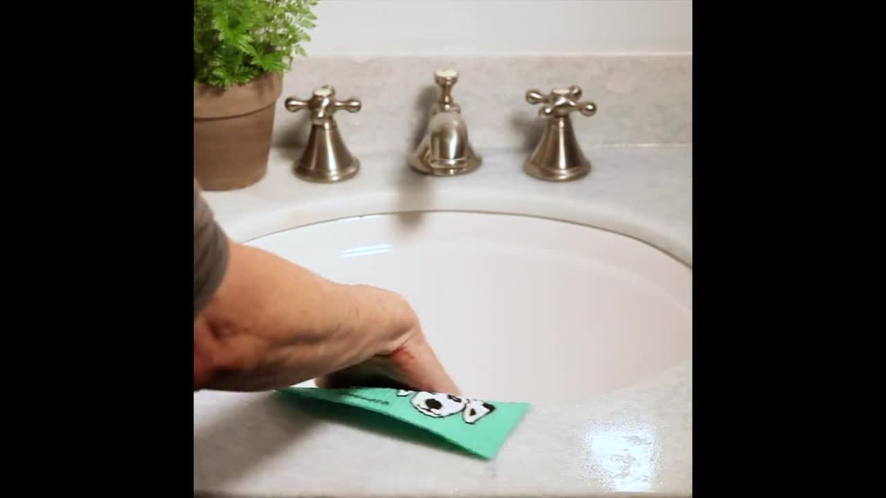 Eco-friendly Swedish Dishcloth - Bluebonnets