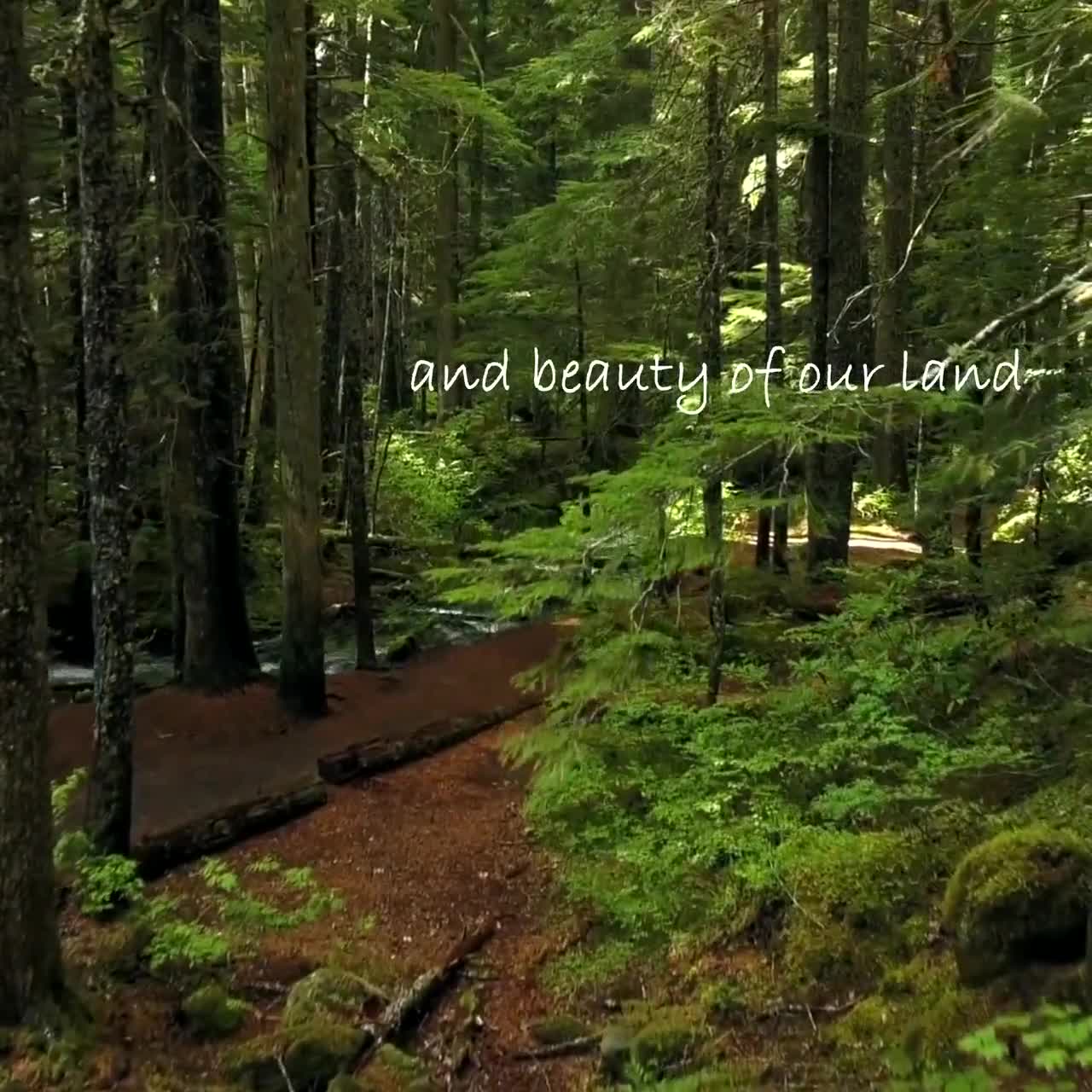 Happy Birthday to A Old Friend | TikTok, image size:1280x1280