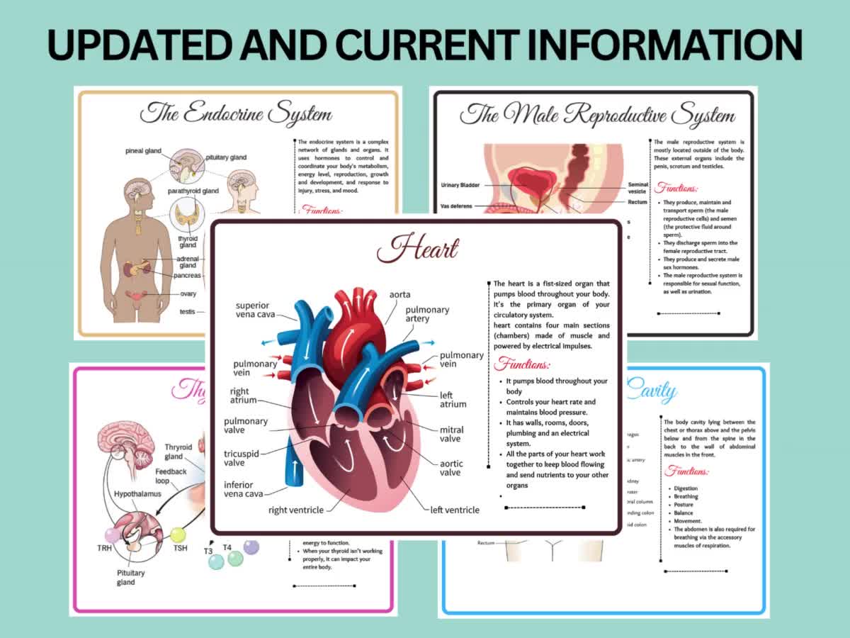 Anatomy Flash Cards, Anatomy And Physiology Flashcards For Kids, Augmented Reality, App Included, English And Spanish, A&P, Body Parts, Body Systems, Learning Tool, Study Tool, Learning Toy