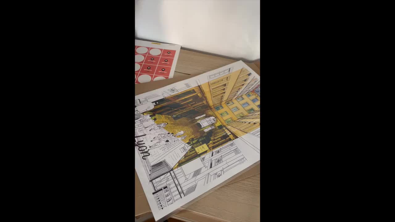 Lyon Passage Thiaffait poster video poster