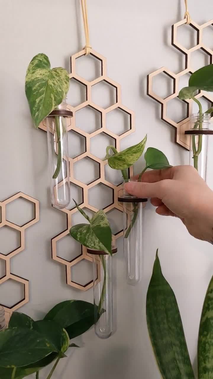 Station de multiplication murale en nid d'abeille Trois tailles au choix  Cadeaux pour les amateurs de plantes -  France
