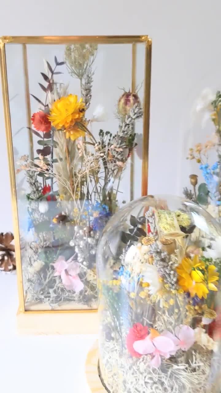 Campana di vetro con fiori secchi e conservati per la decorazione interna  solare, Paula -  Italia