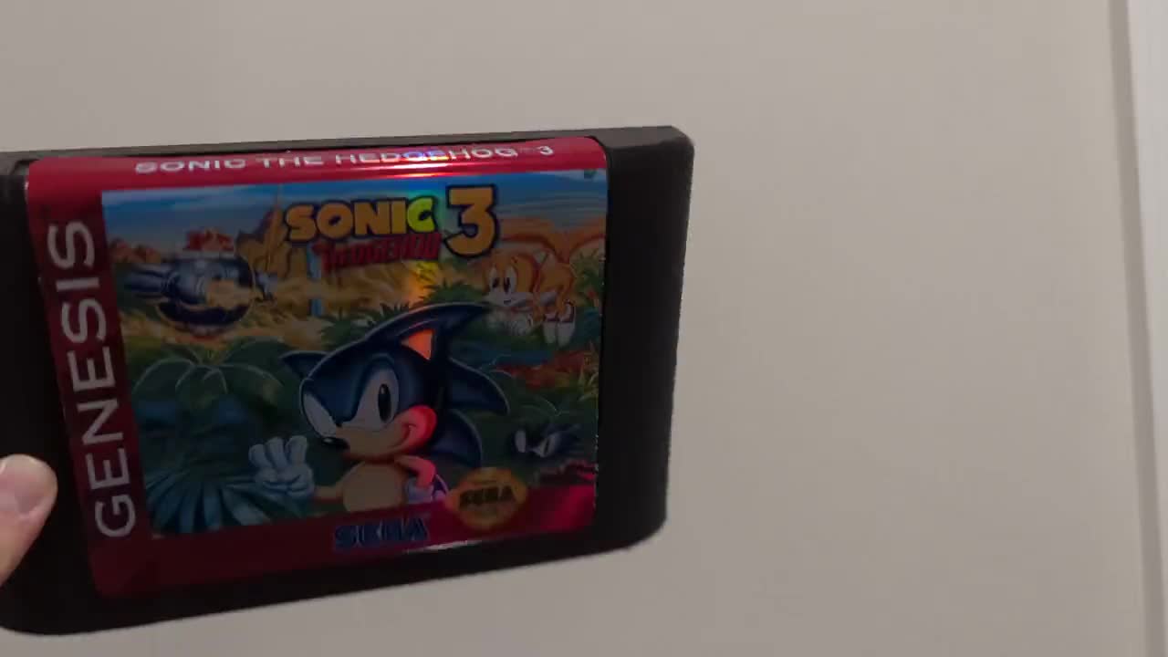 Buy Giant Sega Genesis Cartridge Decoration Sonic the Hedgehog 2 Online in  India 