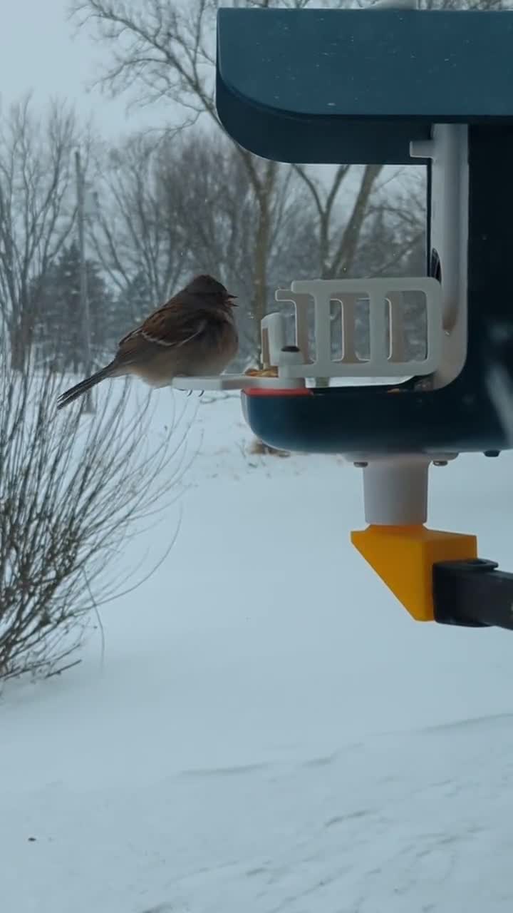 PIAOLGYI Perch for Bird Buddy Smart Bird Feeder,Accessories Compatible with  Bird Buddy Birdfeeder(White)