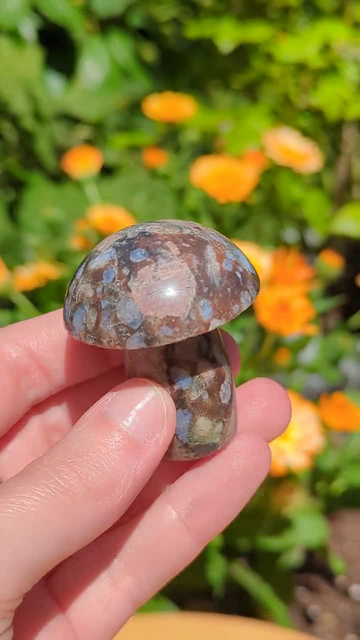 ケセラ ストーン 藍閃石 キノコ彫刻石 自信の結晶 藍閃石 キノコ研磨石