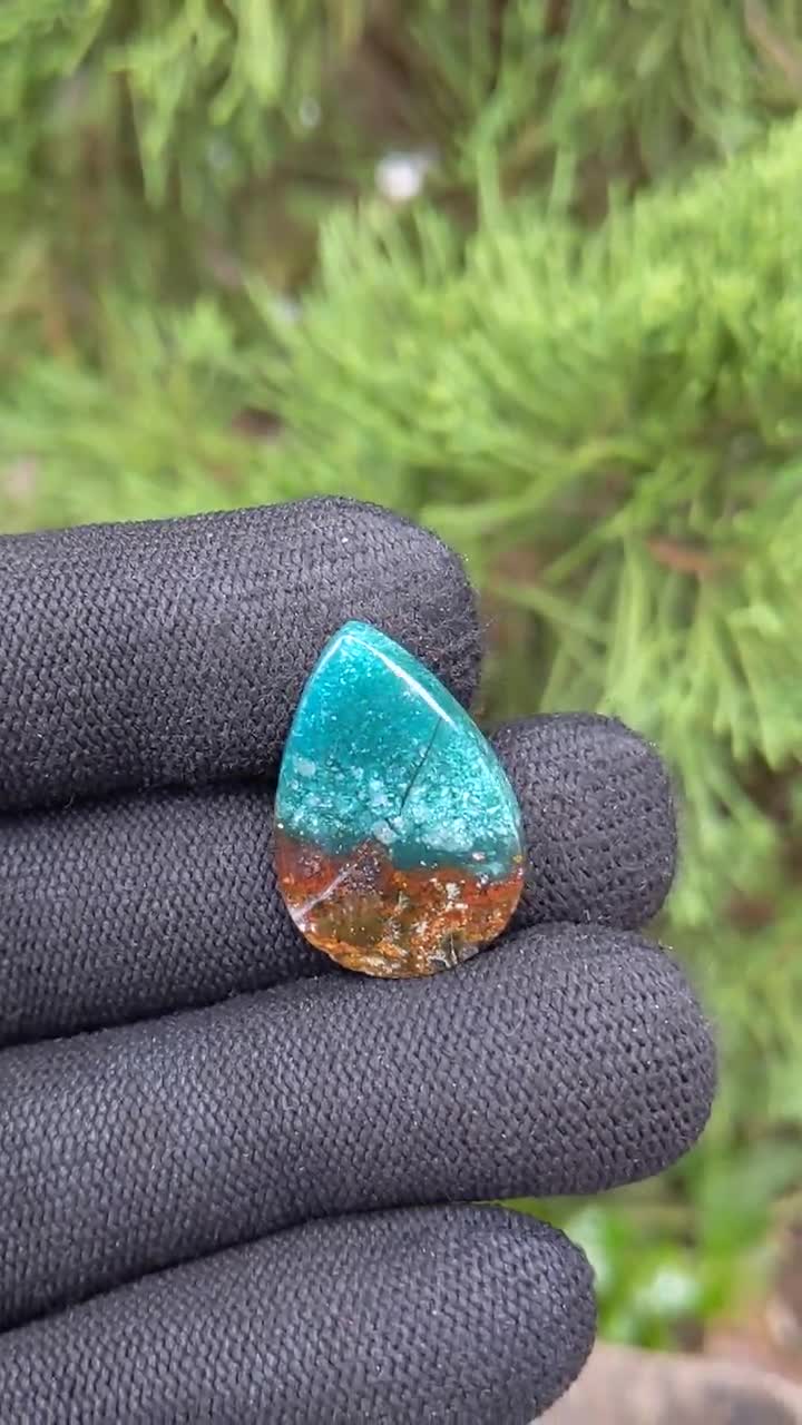 Rare Blue Opalized Petrified Wood , Indonesia Opal Gemstone, Hand