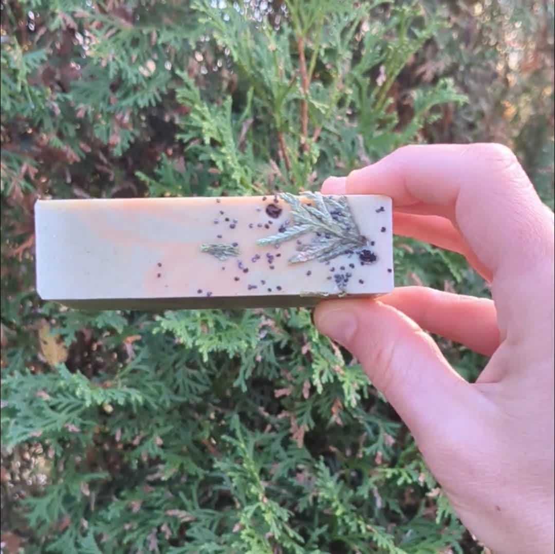 Spruced up - Canadian Handmade Soap With Black Spruce