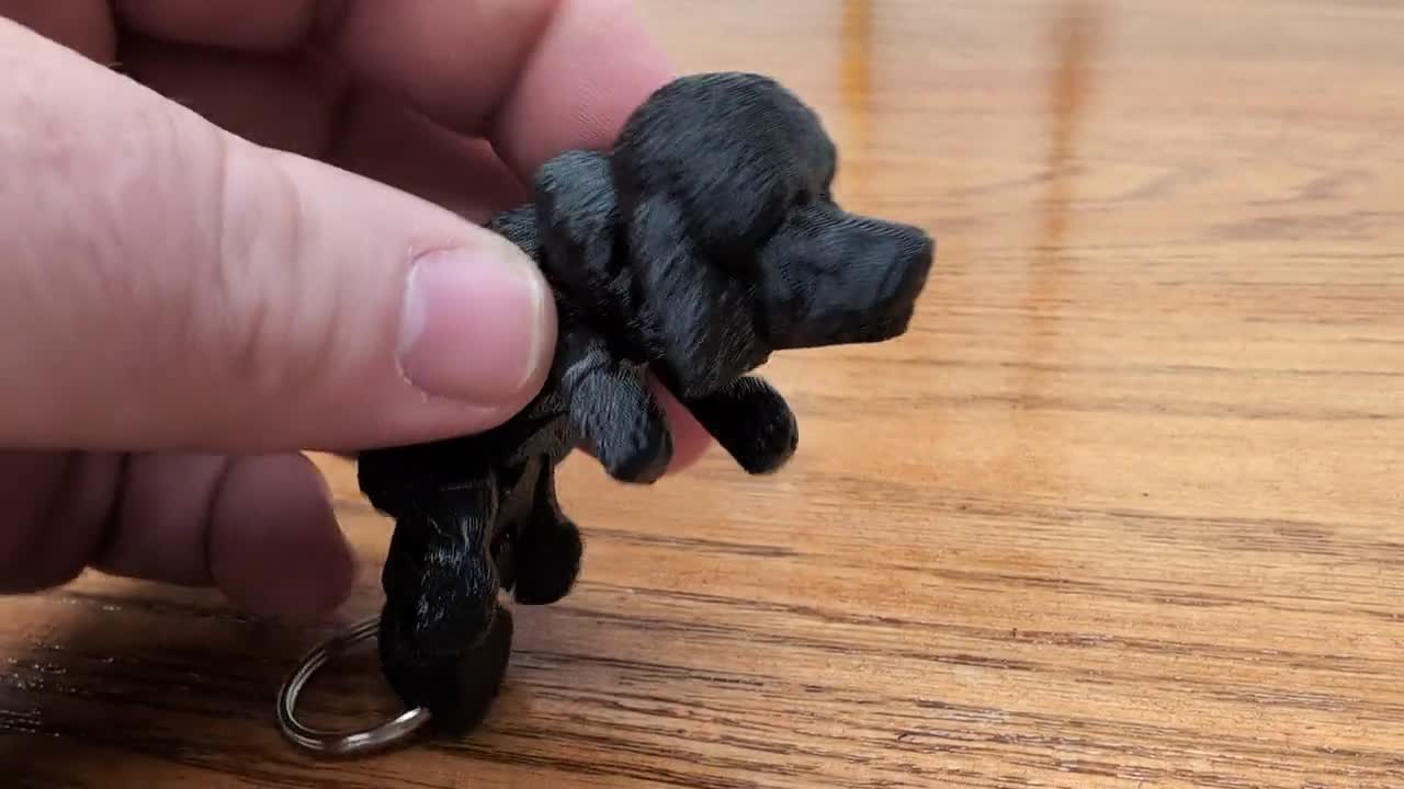 Llavero De Perro Caniche Negro – Doble Cara, Metal Resistente, Regalo Para Amantes De Mascotas