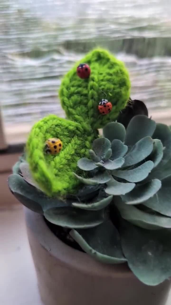 リアルなてんとう虫のピンバッジ：手作りの昆虫ピンバッジポリマー