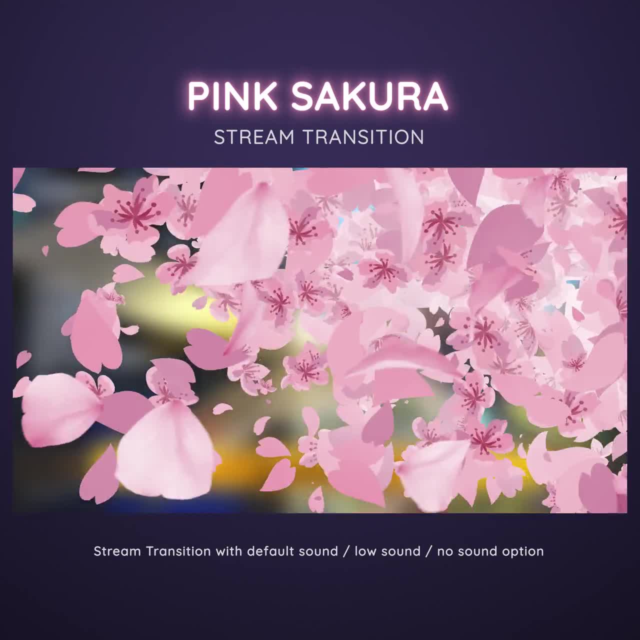 Pink_Sakura_Cherry_Blossom_Str