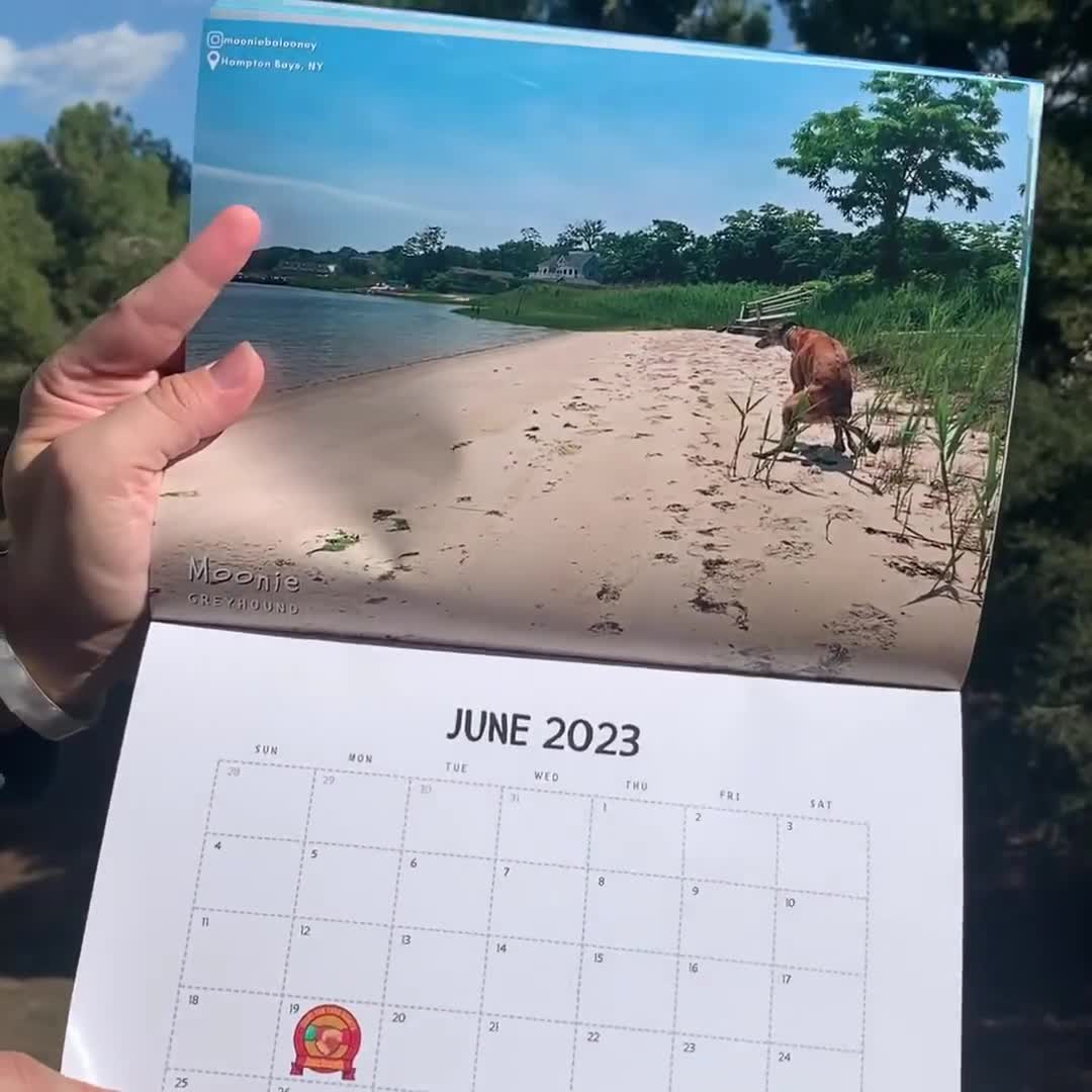 Dogs Pooping in Beautiful Places 2023 Calendar Funny Wall - Etsy dogs-pooping-in-beautiful-places-2023-calendar-funny-wall-etsy