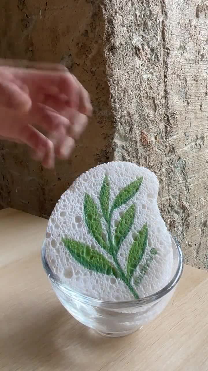 https://v.etsystatic.com/video/upload/q_auto/Pop-Up_Sponge_Eucalyptus_jlxrbm.jpg