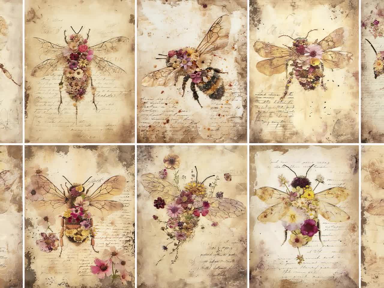 花の蜂 - ヴィンテージ植物昆虫アート - アンティーク蜂イラスト