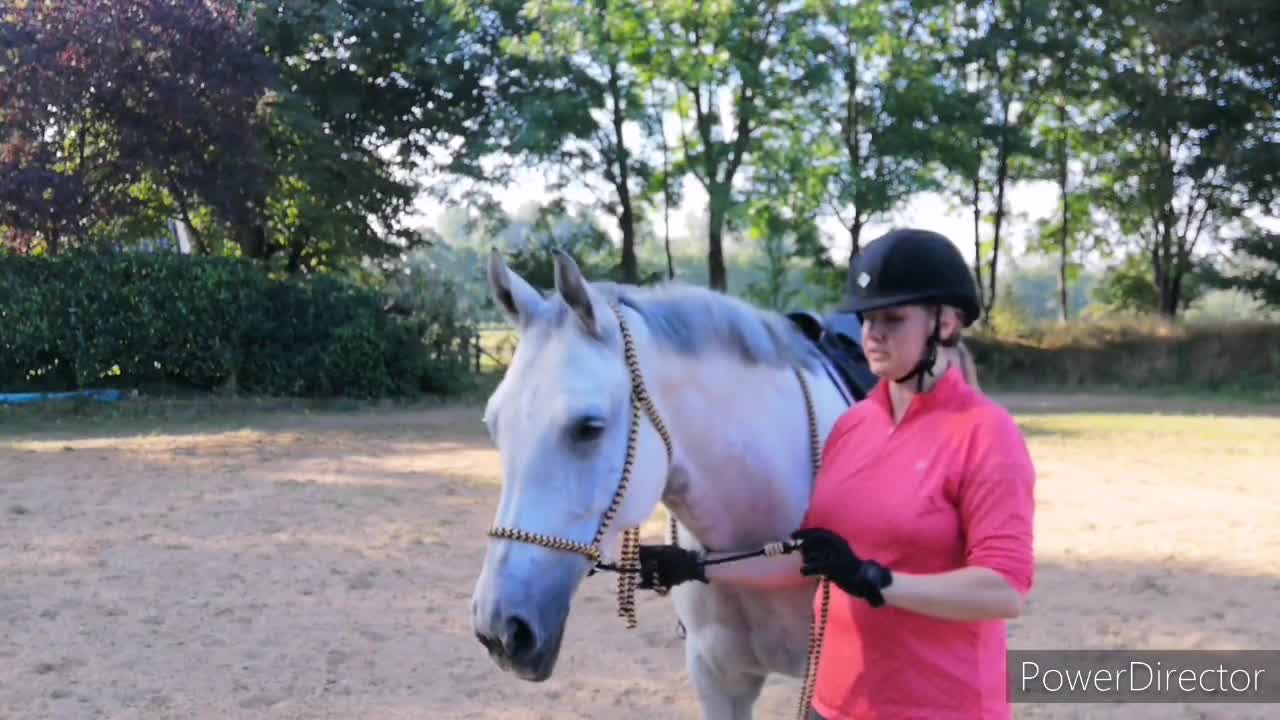 Acquista Horze Emily Guanti invernali da equitazione ora