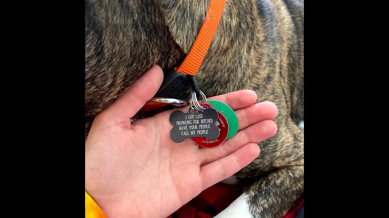 Got lost prowling dog tag sale