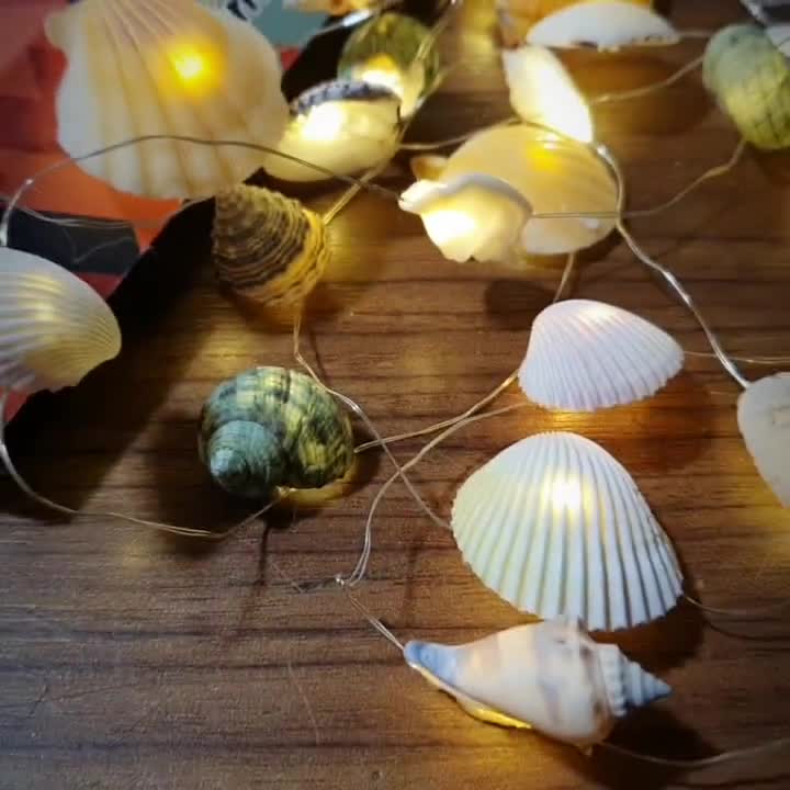 shell light ＊ beach ＊ シェルライト ランプ LED LED Beach Shell Light String Starfish Light String, 20 LED