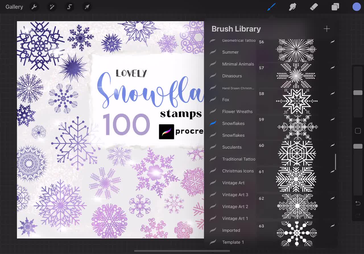 Hand Drawn Snowflake Procreate Stamps Graphic by lisajohnston