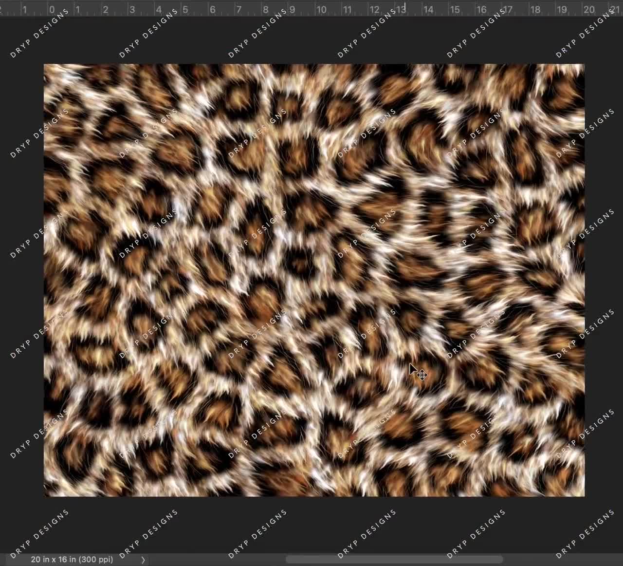 Leopard Pattern Real Leopard Pattern Real