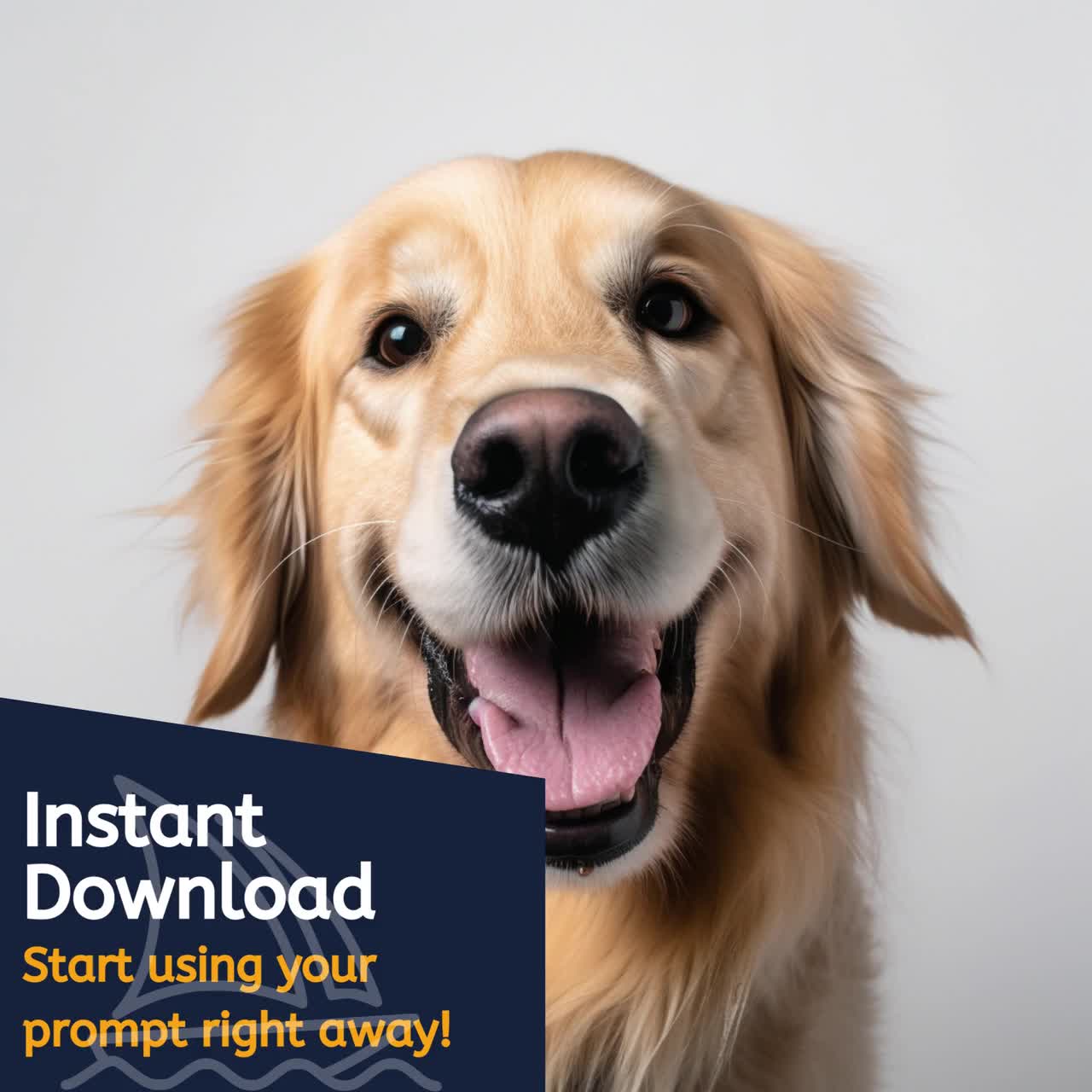 Cuanto Cuesta Importar Un Perro A Australia