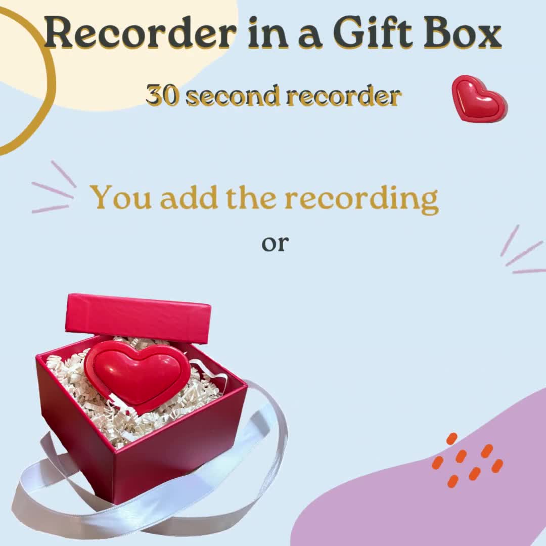 Módulo de sonido - Caja de voz de 2 horas para animales de peluche con  reproducción de voz caja de voz para oso de peluche regalos de animales de