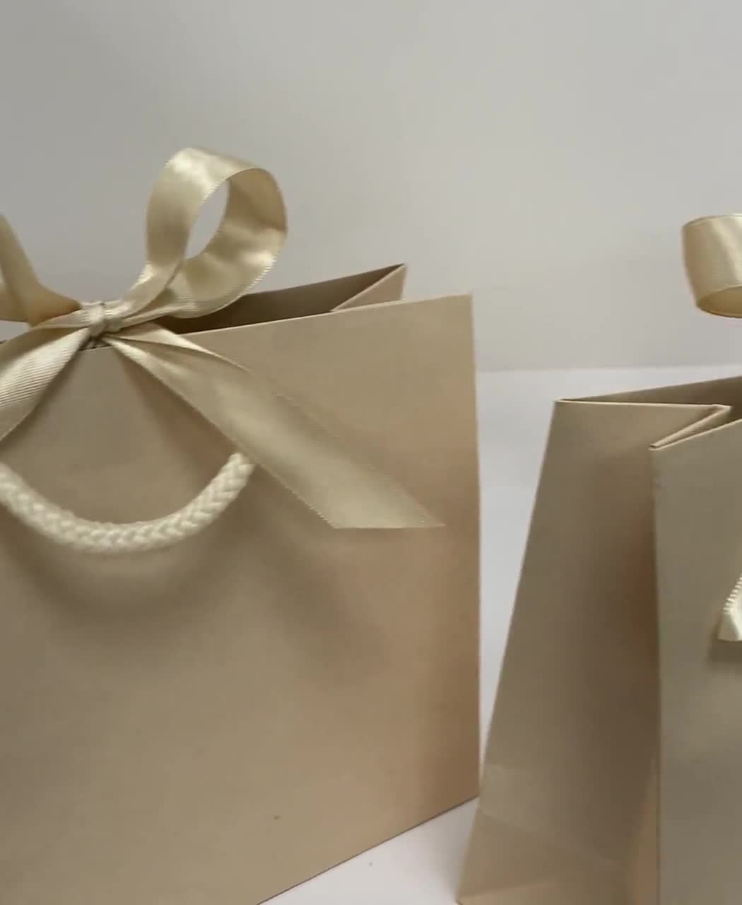 Nu-Nuel Luxury Paper Bags With Rope Handle | Black Edge Matt Laminated Gift Bags | 5 Small Gift Bags For Birthday, Wedding, Baby Showers, Bridal Party, Christmas (SMALL - 230x220x90mm), 5 Count