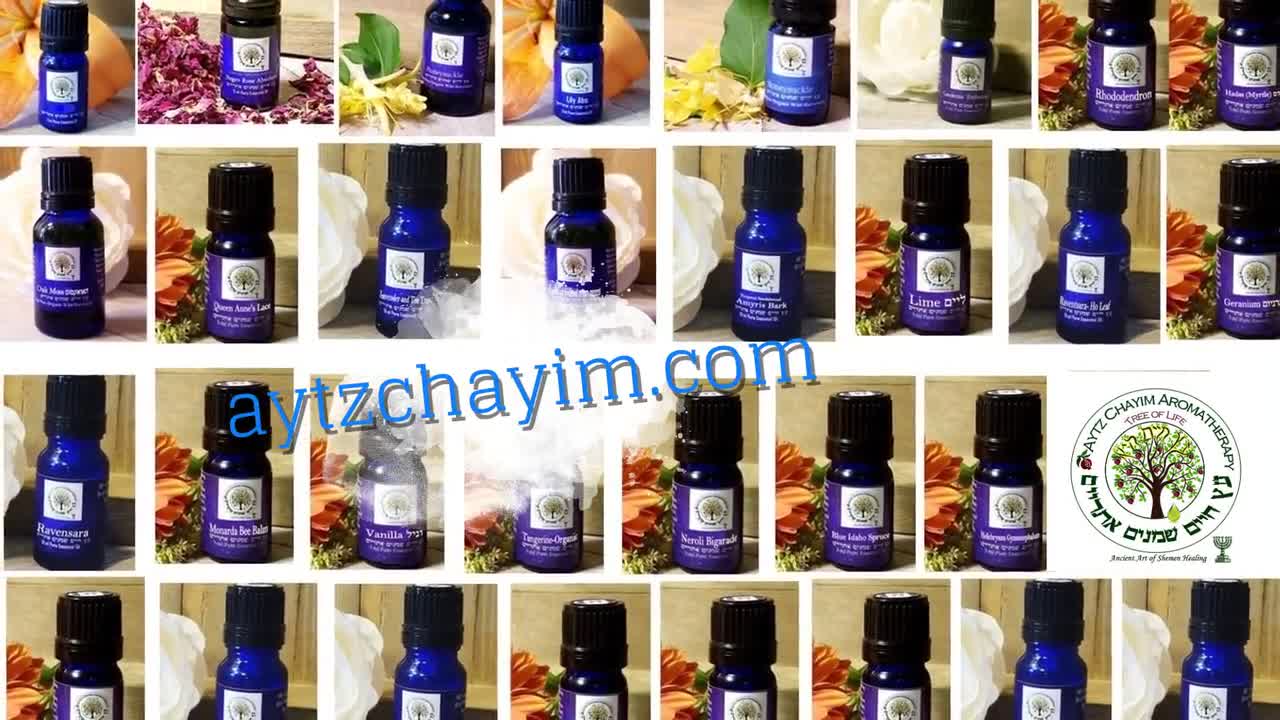 Jasmine Abs High Quality Essential Oil 5ml Jasminum officinale var.  grandiflorum - Aytz Chayim Aromatherapy