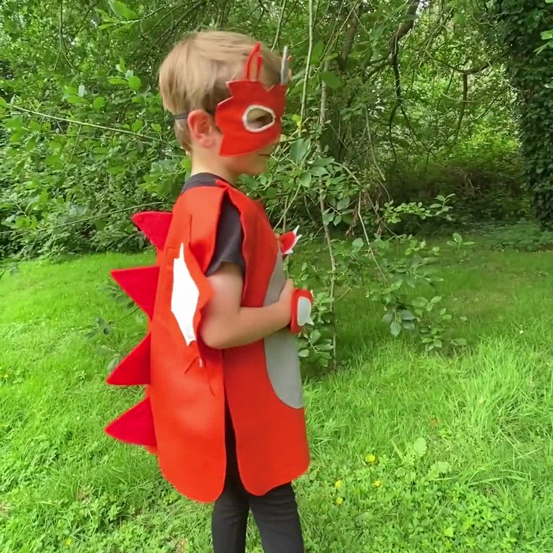 Costume per bambini il mio altro me Drago –