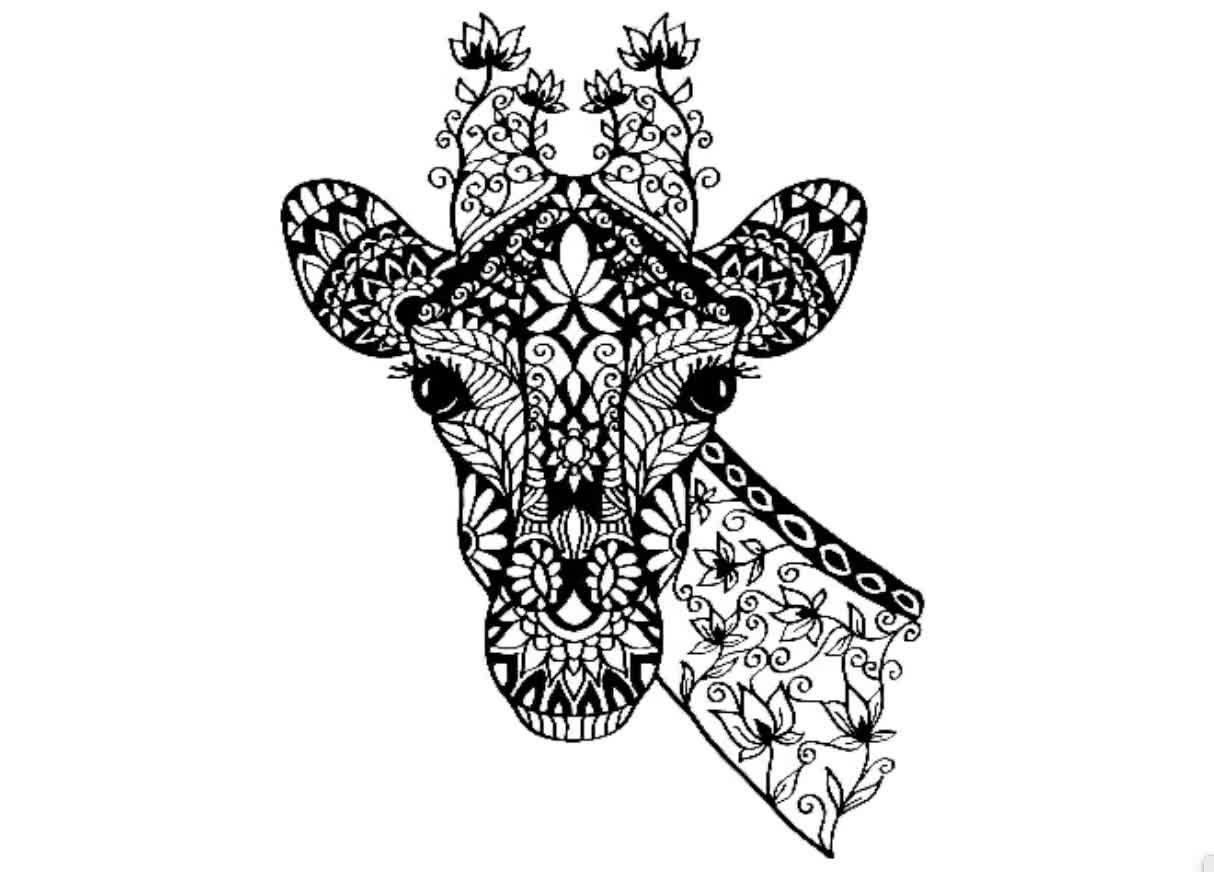  Black Bull Line Art Drawing Tattoo Art Raglan Baseball Tee :  Clothing, Shoes & Jewelry