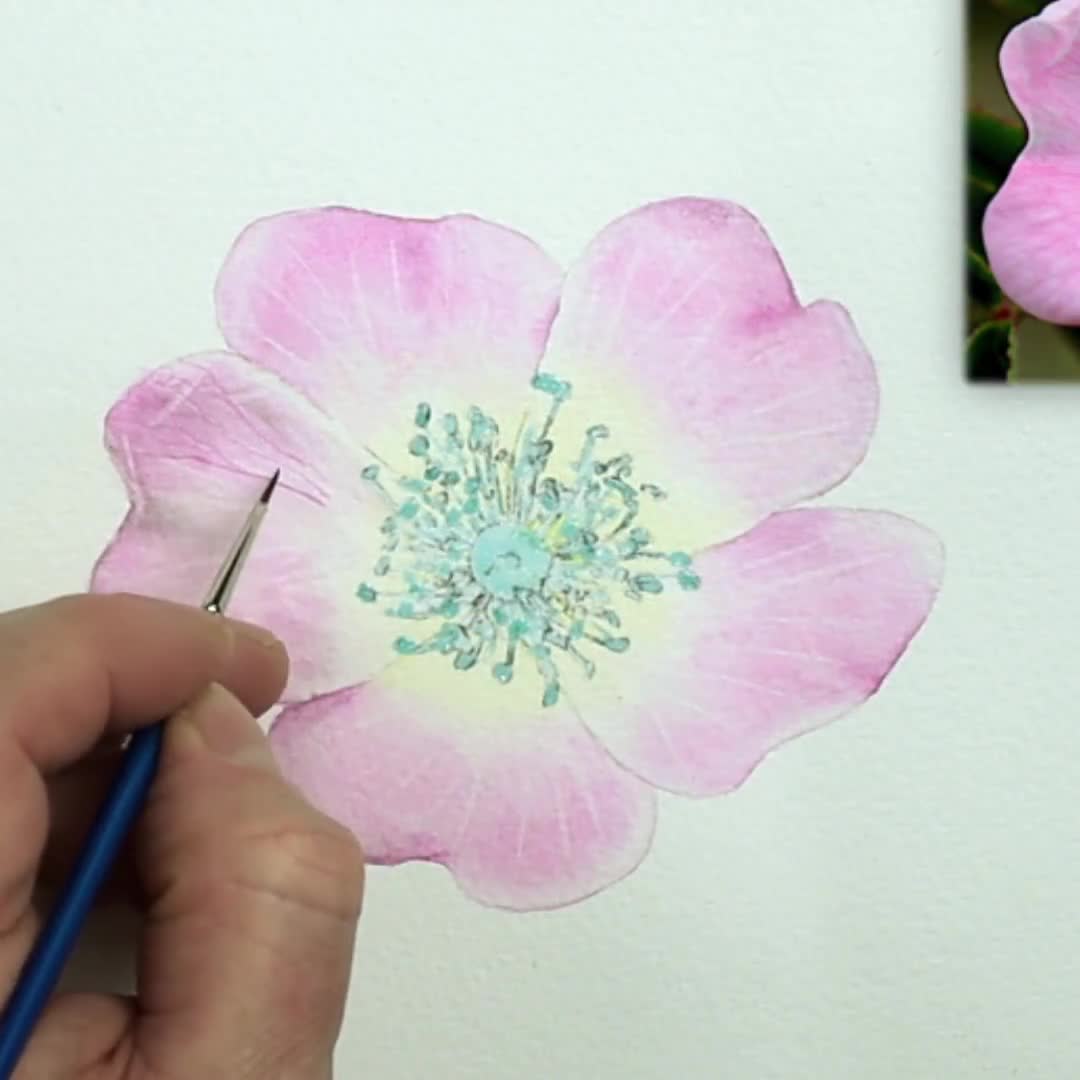 Rose Petal watercolor painting tutorial for beginners