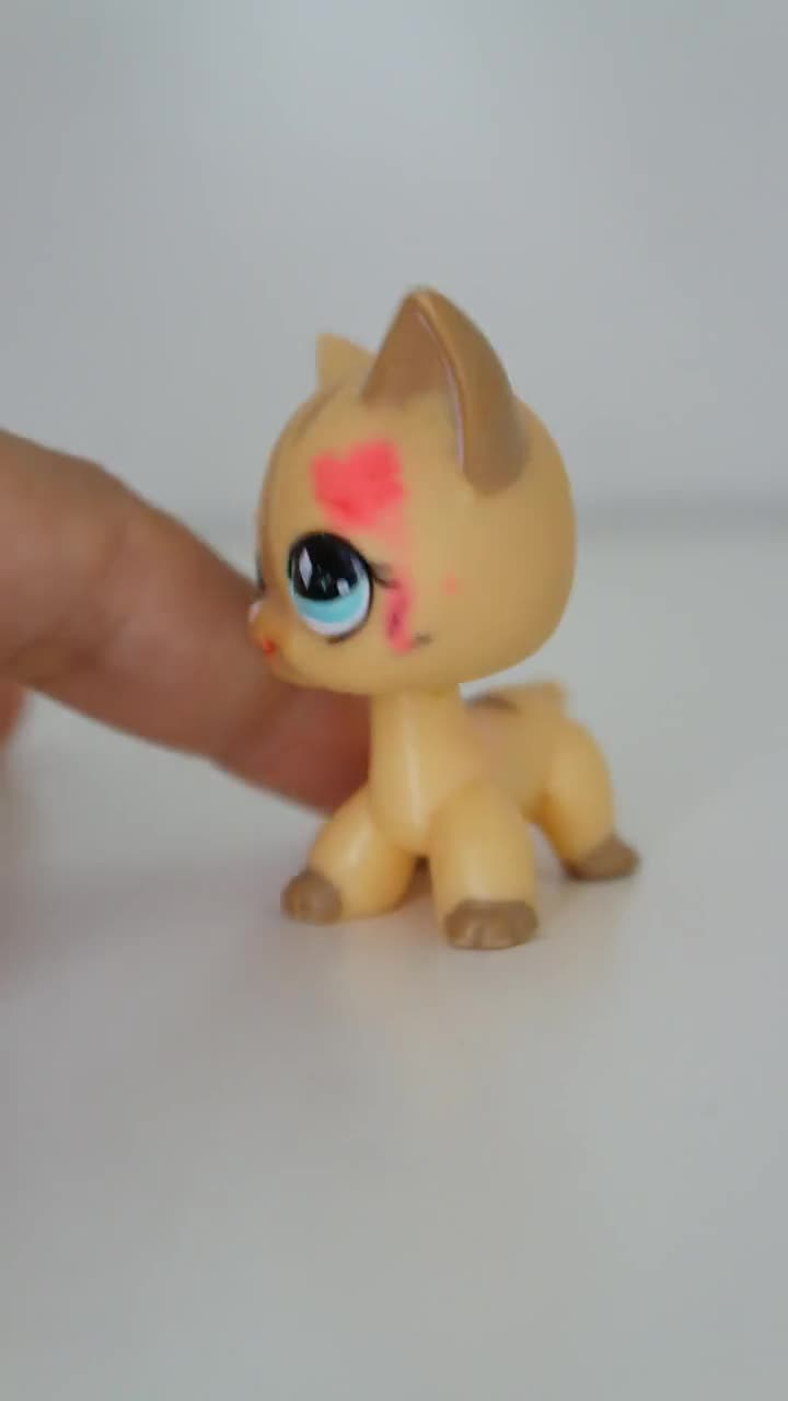 Littlest Pet Shop HASBRO #920 Chat Gouttière Authentique - Original LPS