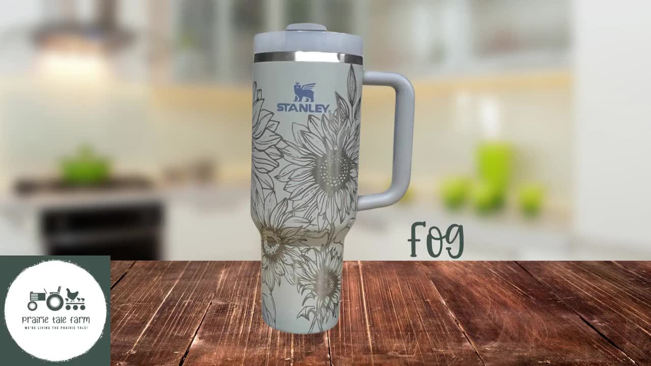 Stanley Cup 40 oz Tumbler with Handle NEW FOG Color Review 