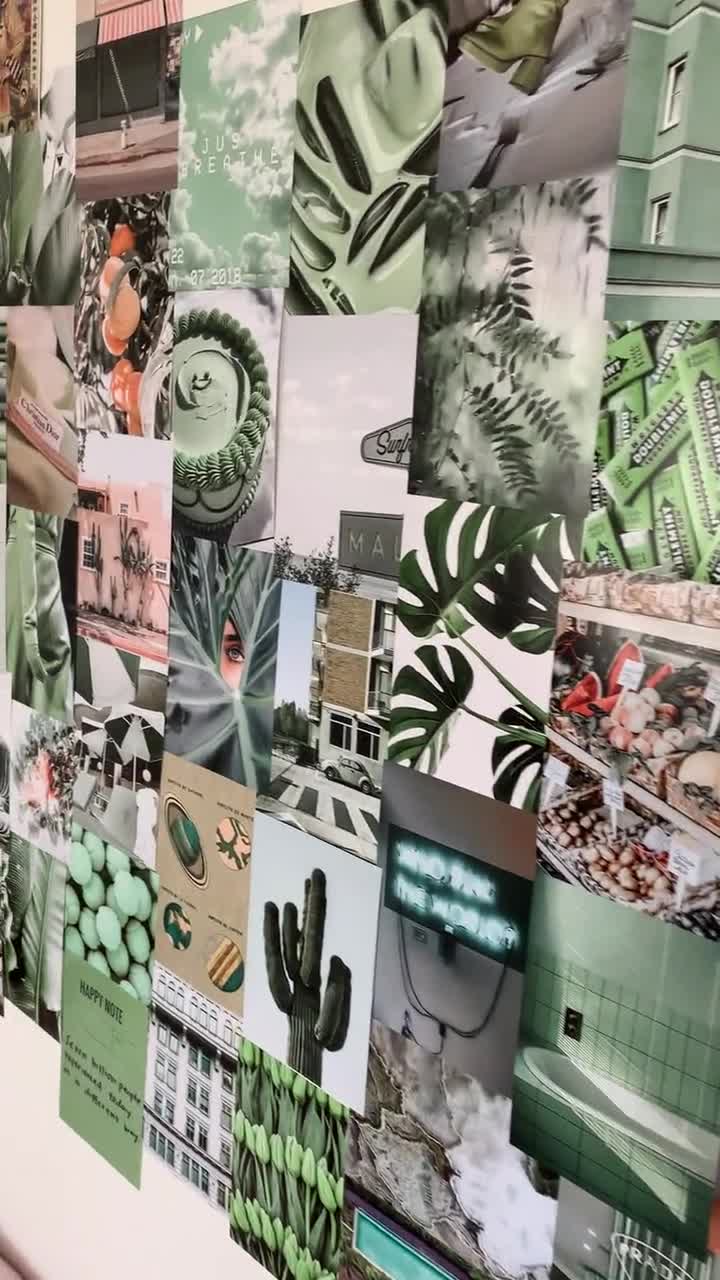 40+ Sage Green Aesthetic Wallpaper for Phone - Good Mom Living