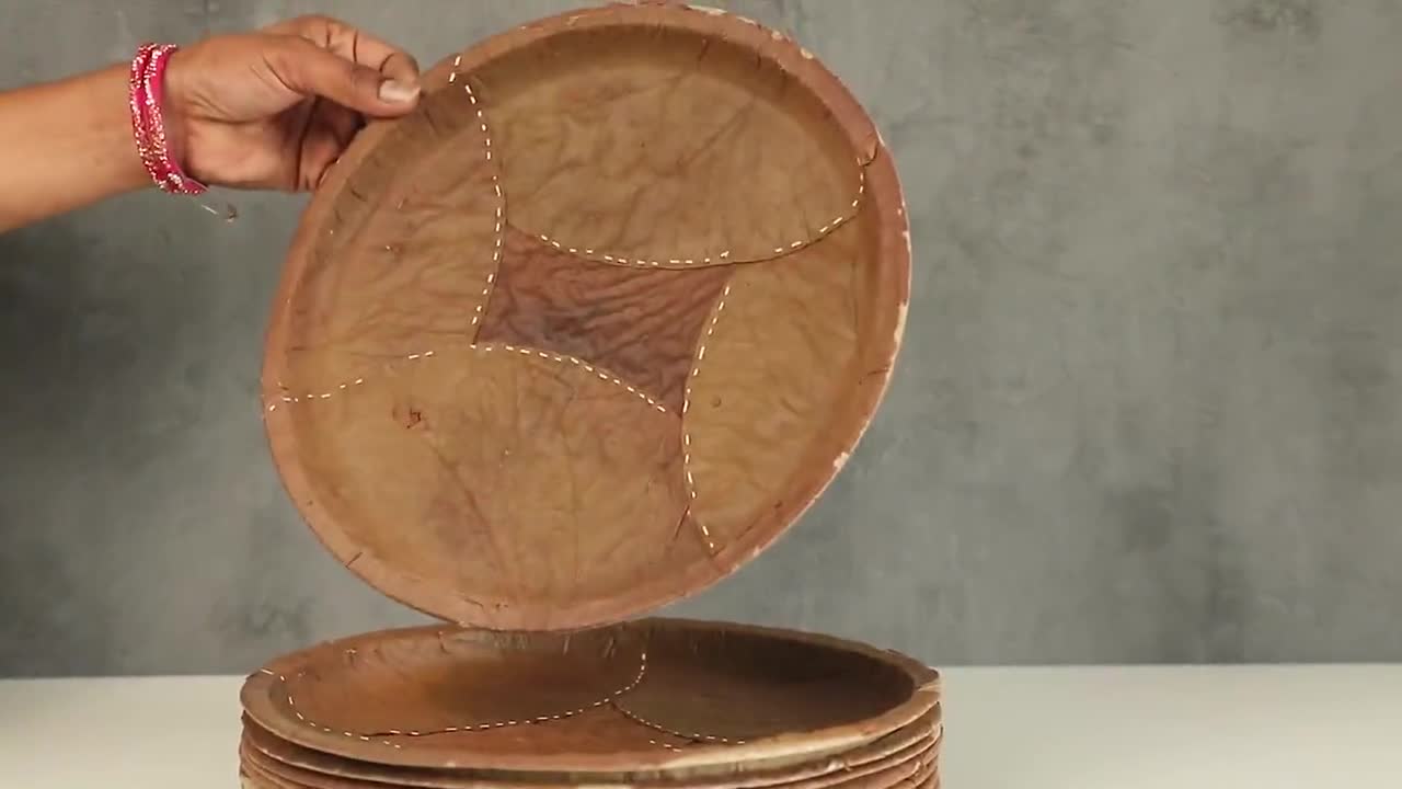 Natural Sal Leaf Disposable Plates