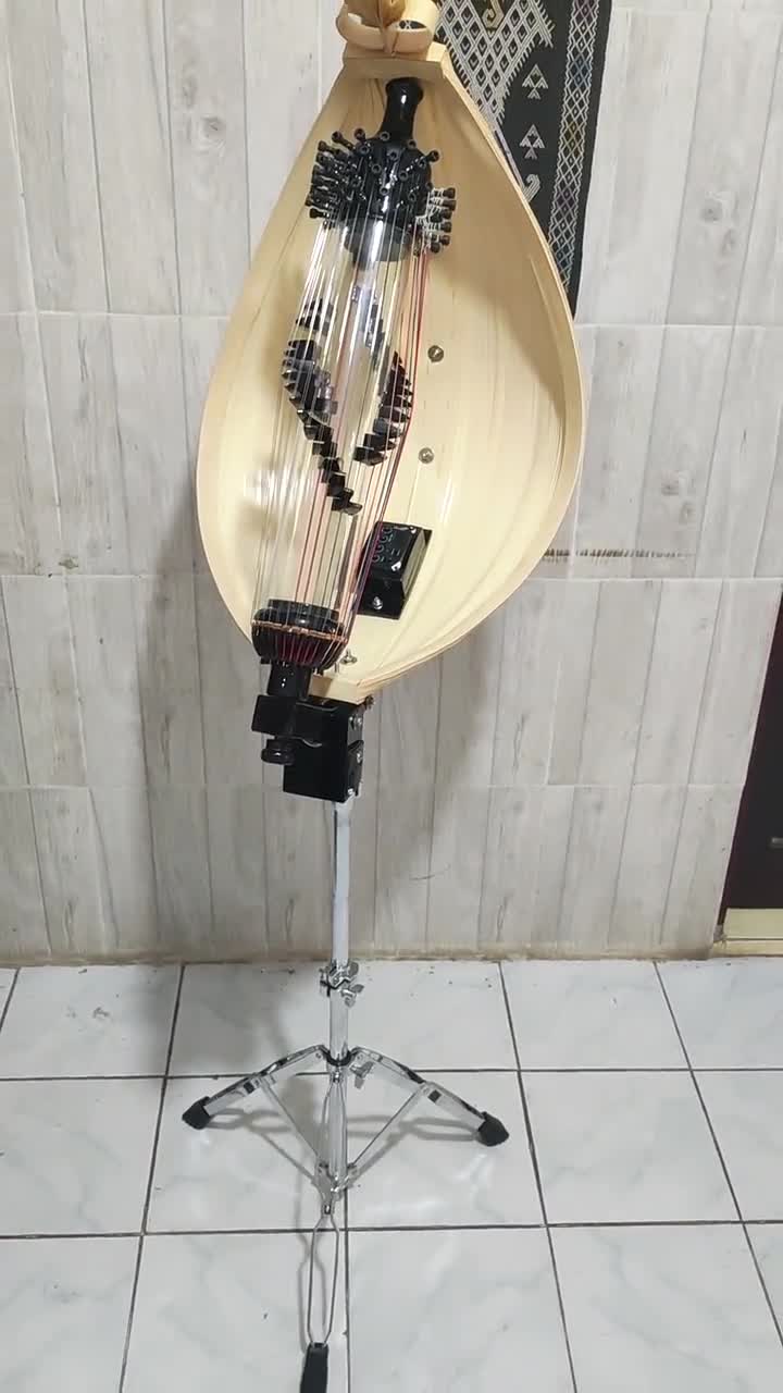 電気透明管ハープ、ササンドインドネシア民族楽器 - Etsy 日本