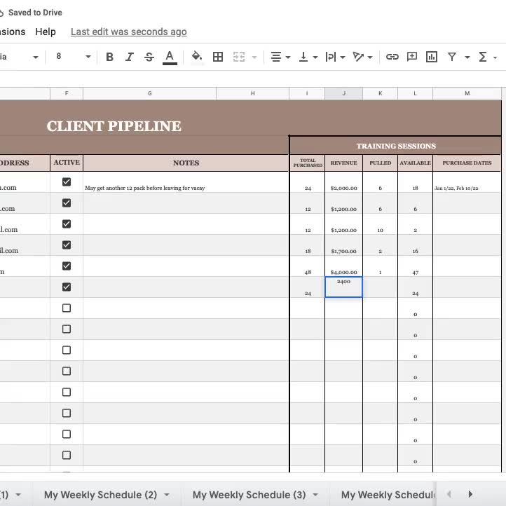 Personal Trainer Client Tracker Templates for Business Management