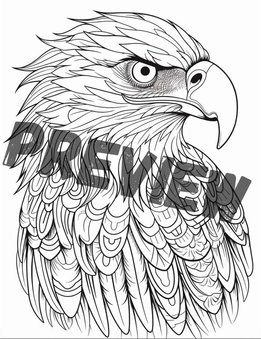 Eagle Coloring Book: A Cute Adult Coloring Books for Eagle Owner, Best Gift  for Eagle Lovers (Paperback)