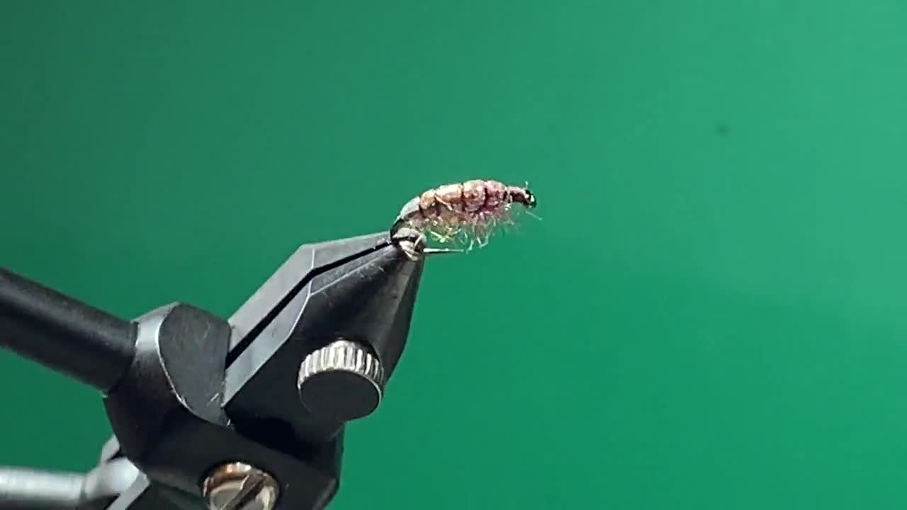 Rainbow Scud. Rainbow Sowbug Awesome Fly Fishing Fly Perfect for Euro and  Dry-dropper Fishing Great Sow Bug Fly 