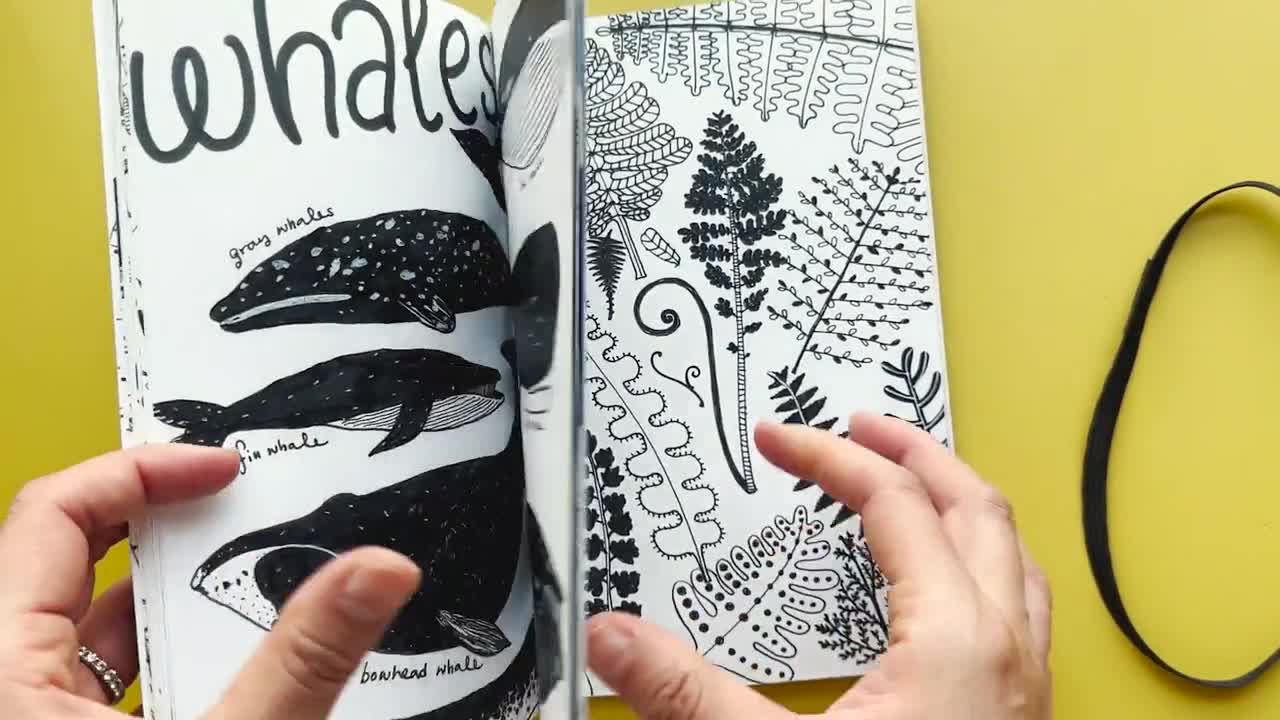 Sketchbook Zine Vol.3 - Collection of Pen Drawing - Illustration