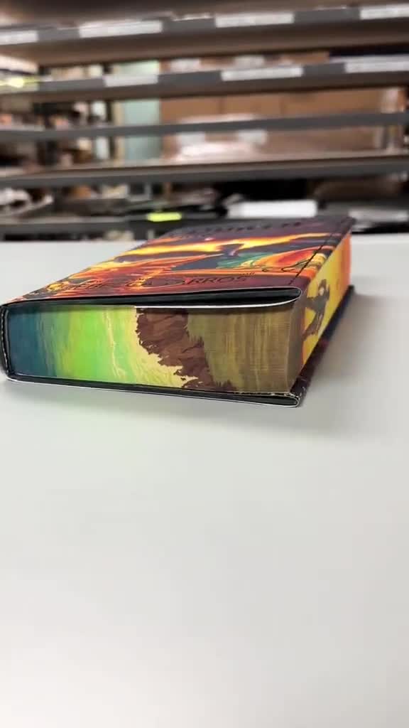 【台紙付き☆】コスチューム　4個セット　ウィッシングウィングス　新品未開封 公式】ダッフィー&フレンズの「ウィッシング・ウィングス