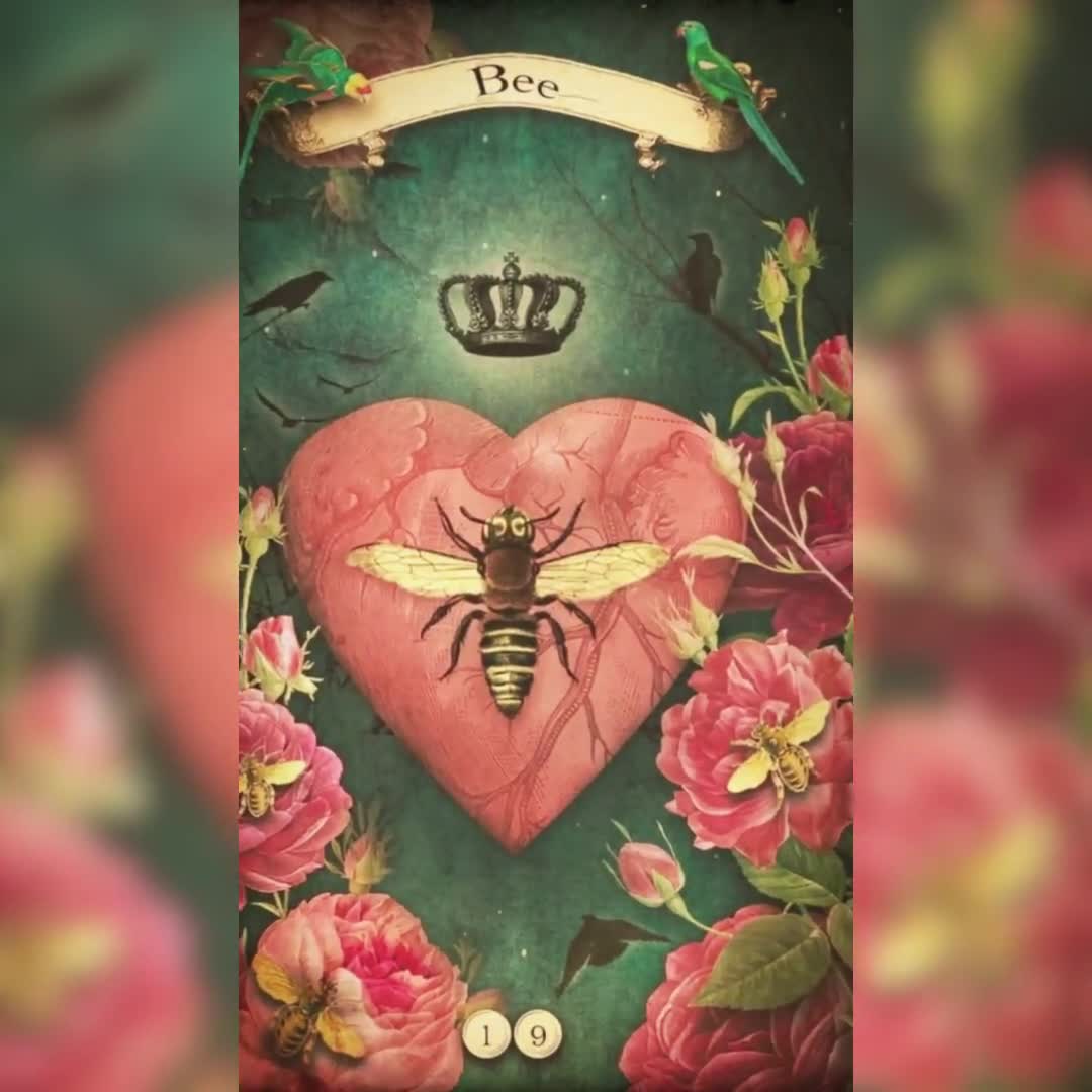 Oracle of the Rose Oracle Deck With Ebook Guidebook FREE