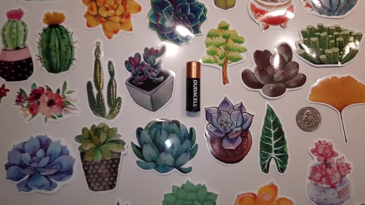 Celestial stickers pack, cute cactus sticker (1556468)