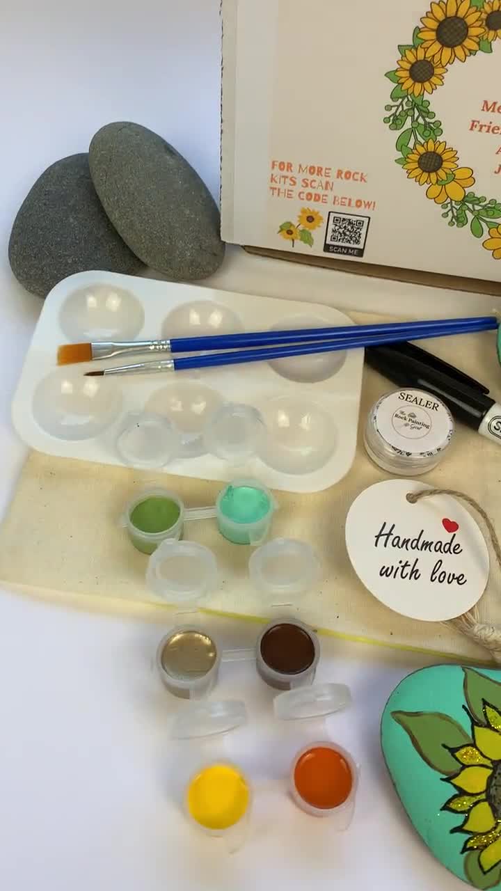 Ladybug Rocks , Paint Your Own Ladybug Rock, Ladybug Rock Set , Rock  Painting Kit, Kit for Adults, Craft Kits, Ladybug Decor, Ladybug Craft 