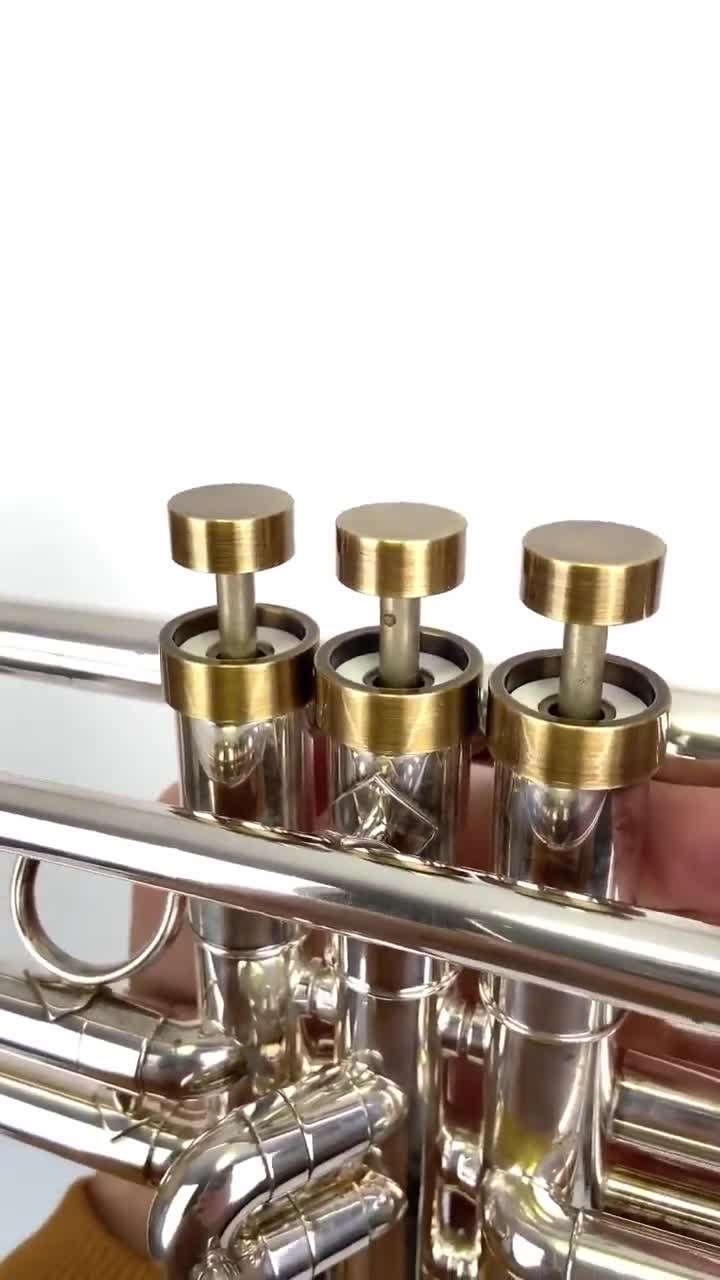 Yamaha Trumpet MEDIUM Trim kit by KGU Music for All YTR models (Antique  Bronze Lacquer finish)
