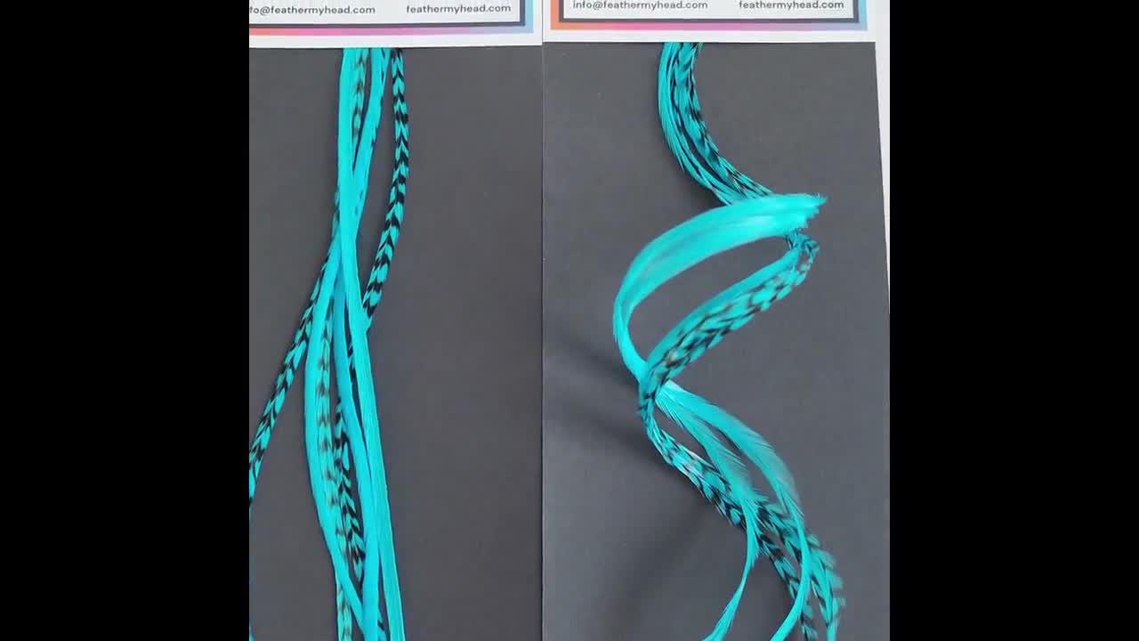 Blue Hair Feather Extensions. 1 Feather, Long Lengths and Hair Feather Kit  Available -  Australia