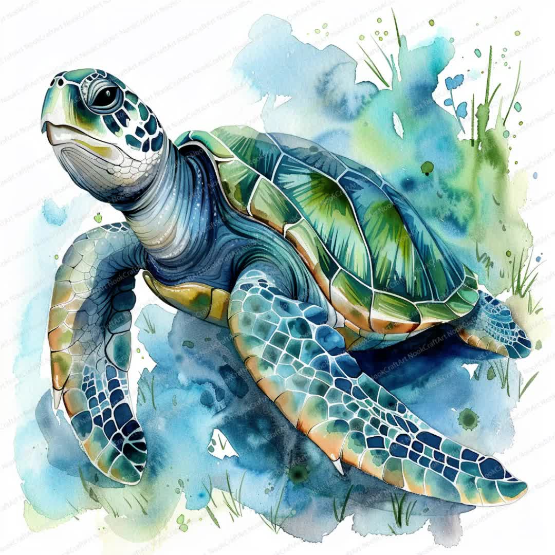 11 ウミガメのクリップアート | 水彩画のカメ | 印刷可能な水彩画の