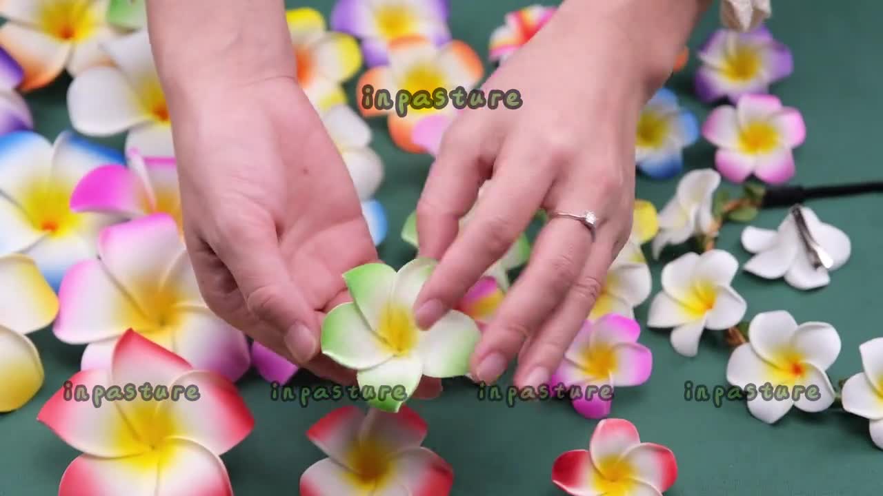 Fantasee Luci A LED A Forma Di Fiore Plumeria – 3 Metri, 20 LED, Alimentazione A Batteria, Per Matrimoni E Feste Hawaiane